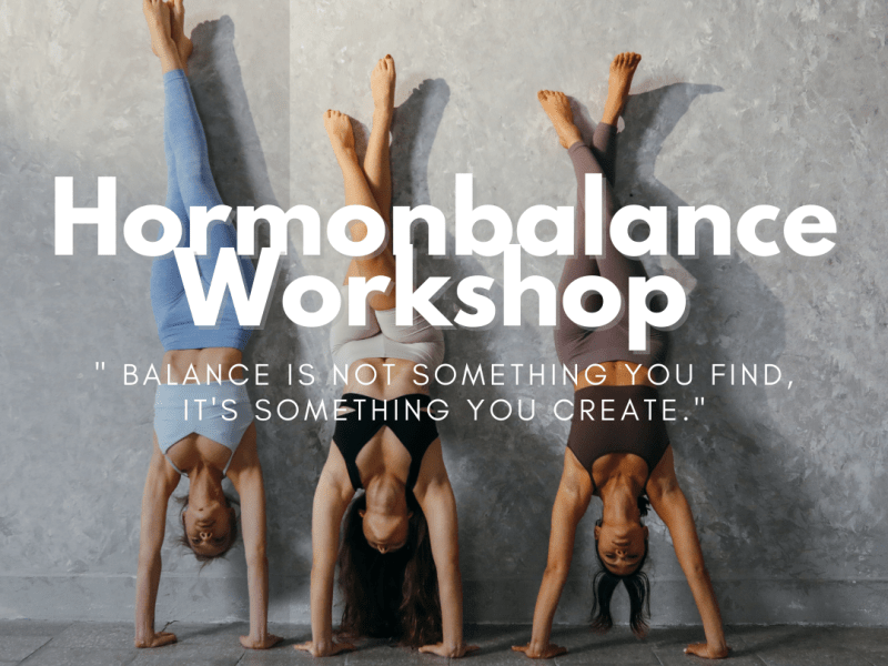 Homonbalance Workshop 15.11.2025